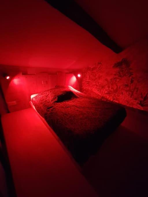 Appartement Le Perchoir De L'Empereur à Orléans Extérieur photo