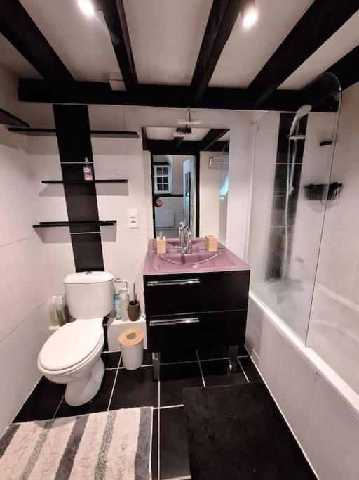 Appartement Le Perchoir De L'Empereur à Orléans Extérieur photo
